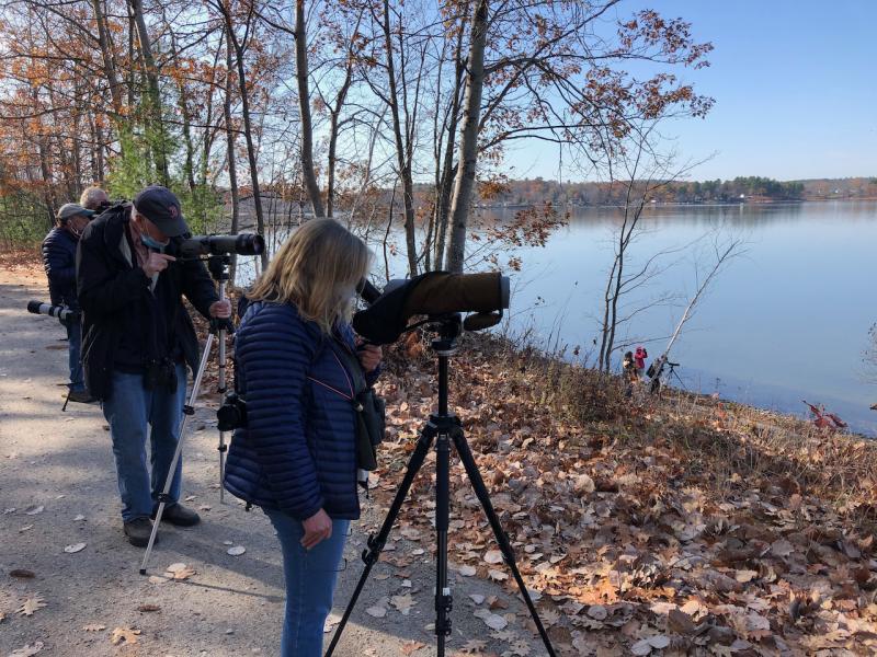 MidCoast Audubon announces spring birding field trips Boothbay Register